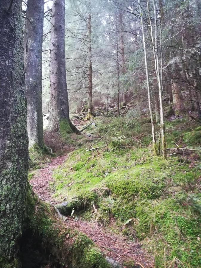 Ferienwohnung Sonnenhuegel Wildemann Eksteriør bilde