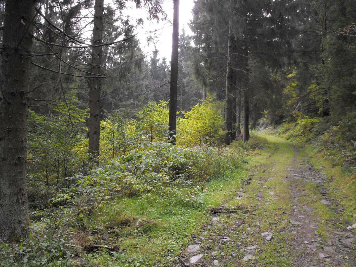 Ferienwohnung Sonnenhuegel Wildemann Eksteriør bilde